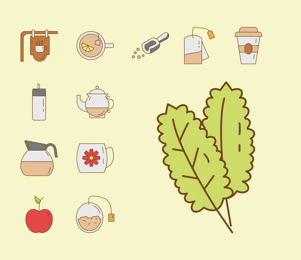 Hojas de menta y paquete de iconos de estilo de relleno conjunto de té — Vector de stock