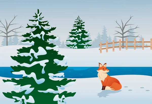 Tilki ve çamlı güzel kış manzarası