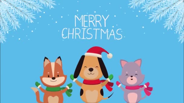 สุขสันต์วันคริสต์มาสกับสัตว์น่ารักและตัวอักษร — วีดีโอสต็อก