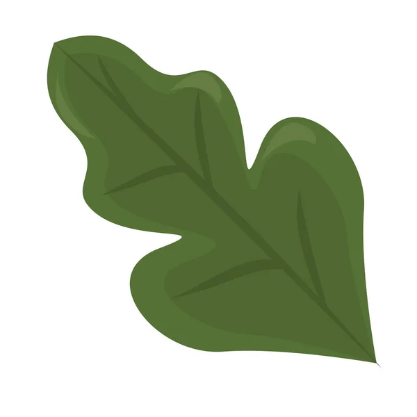Ecology leaf plant nature icon — Stock Vector