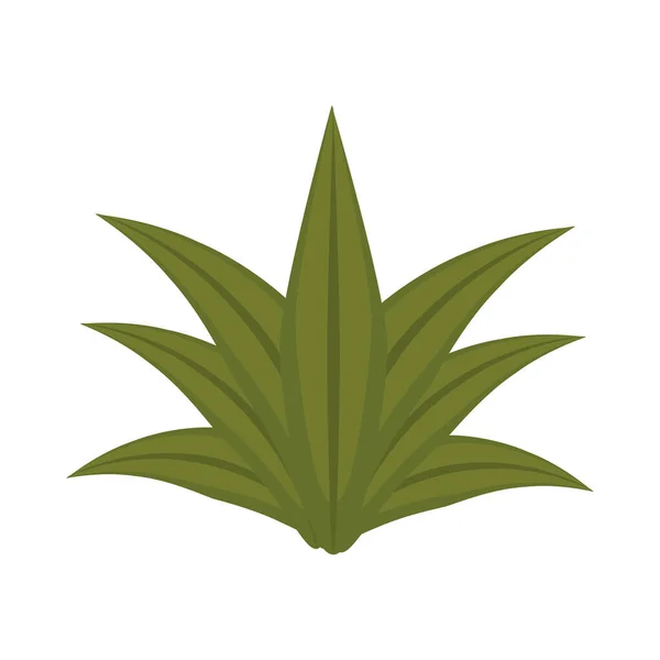 Bush plant nature isolated icon — Stock Vector