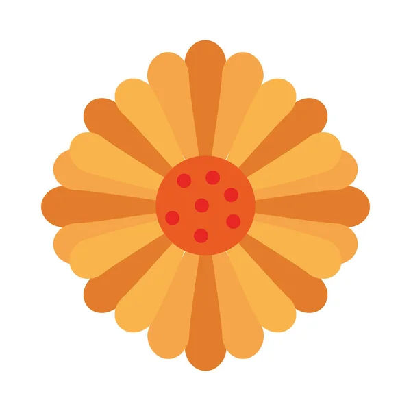 Piękna ikona dekoracji słonecznika — Wektor stockowy