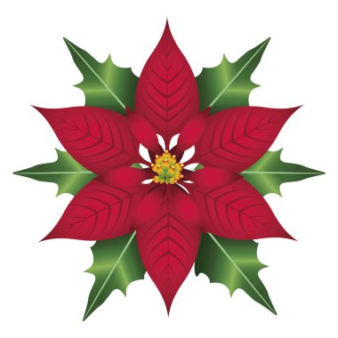 Mutlu Noeller kırmızı çiçek ve yapraklar süsleme