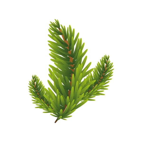 Happy merry christmas fir leaf tree icon — Stock Vector