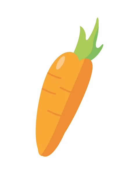 Carrot fresh vegetable nature icon — Stock Vector