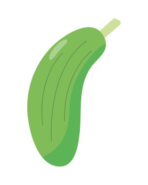 Salatalık taze sebze ikonu