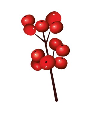 Mutlu noeller dekoratif kiraz tohumları