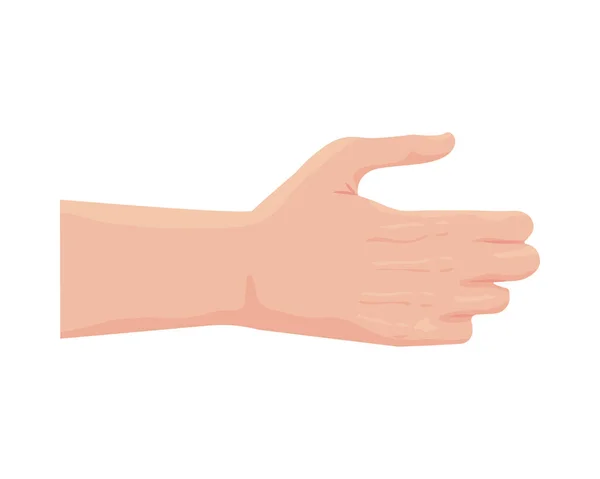 Hand human receiving isolated icon — Stock Vector