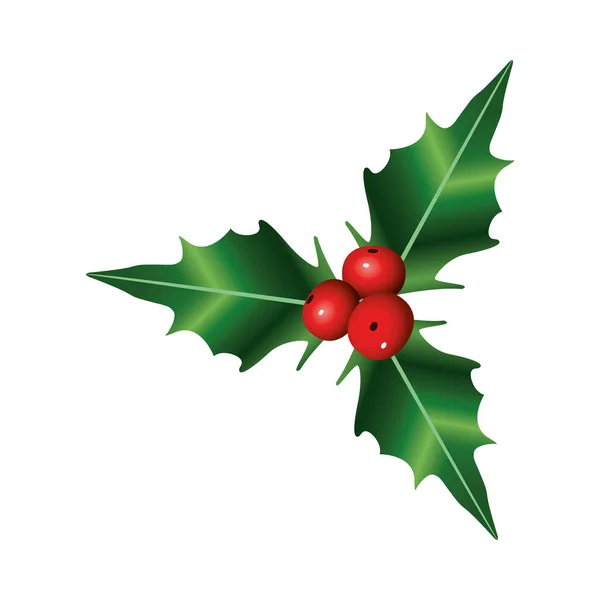 Boldog karácsonyt bogyók és levelek természetes dekoráció — Stock Vector