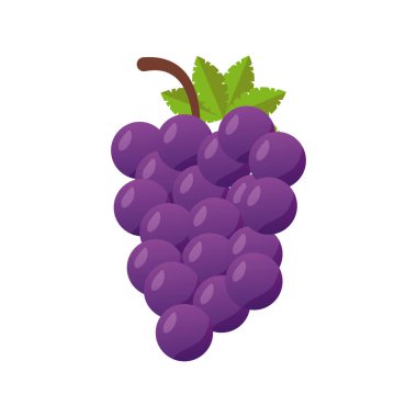 Üzümler taze taze meyveler izole edilmiş stil simgesi