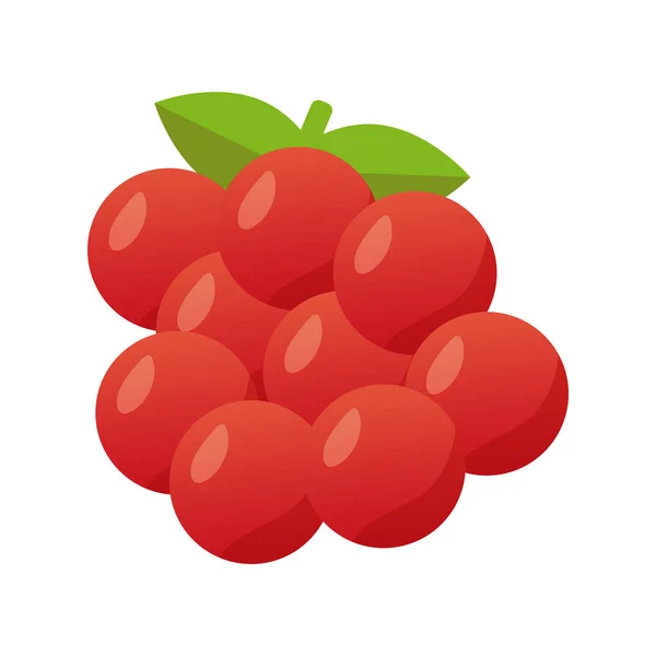 Blackberry fresh delicious fruit isolated style icon - Stok Vektor