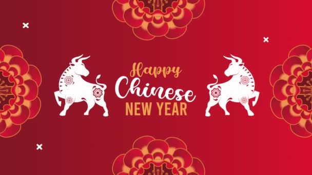 Heureux Nouvel An chinois lettrage et boeufs — Video