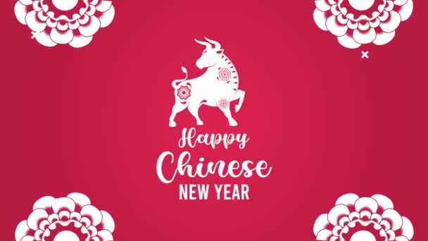Feliz año nuevo chino con buey y flores — Vídeos de Stock