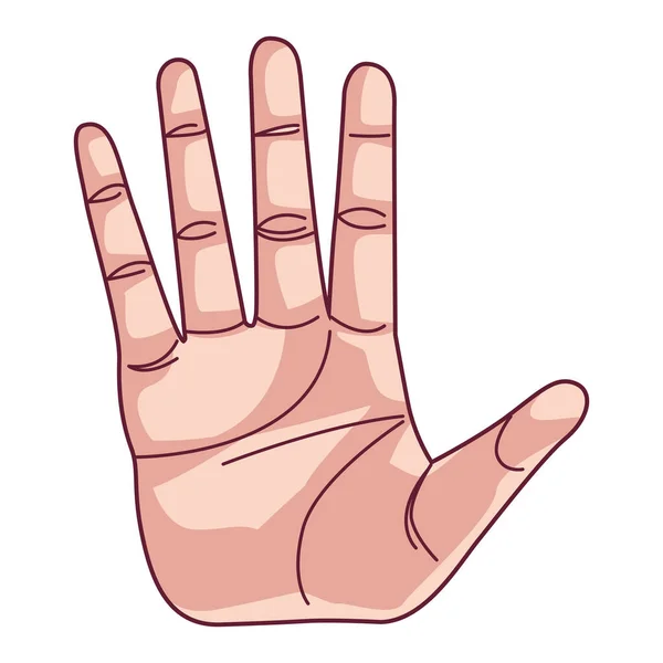 Mano humana parada aislado icono — Vector de stock