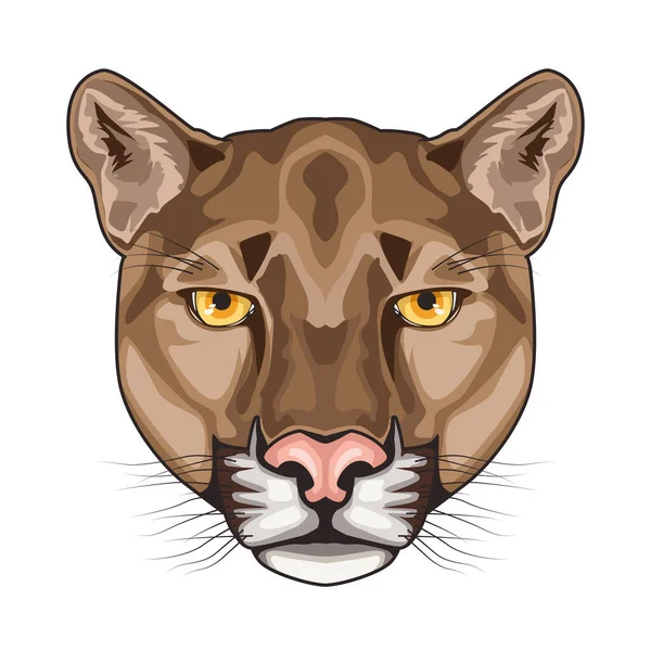 Cougar animal selvagem personagem cabeça no fundo branco — Vetor de Stock