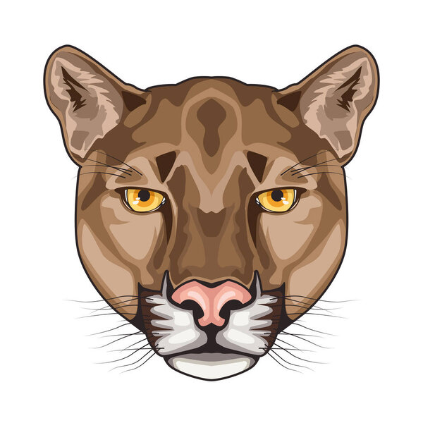 cougar animal wild head character in white background