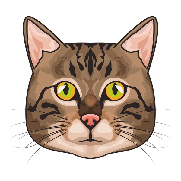 Gato animal doméstico cabeza carácter en blanco fondo — Vector de stock