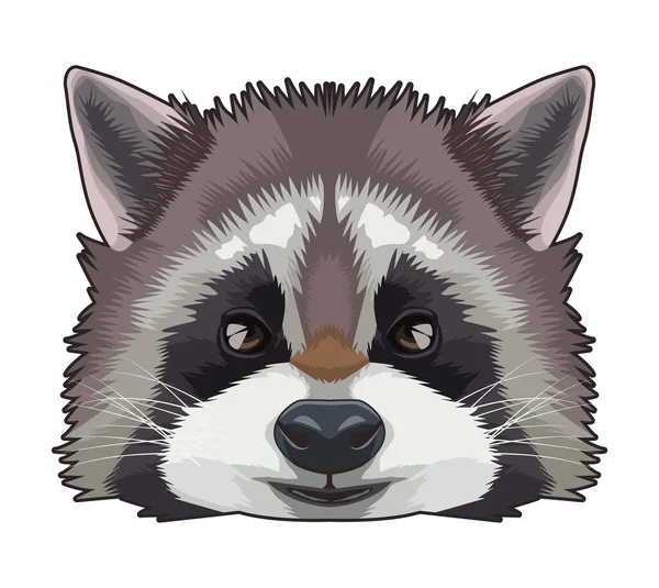 Raccoon animal wild head character icon — Stock Vector