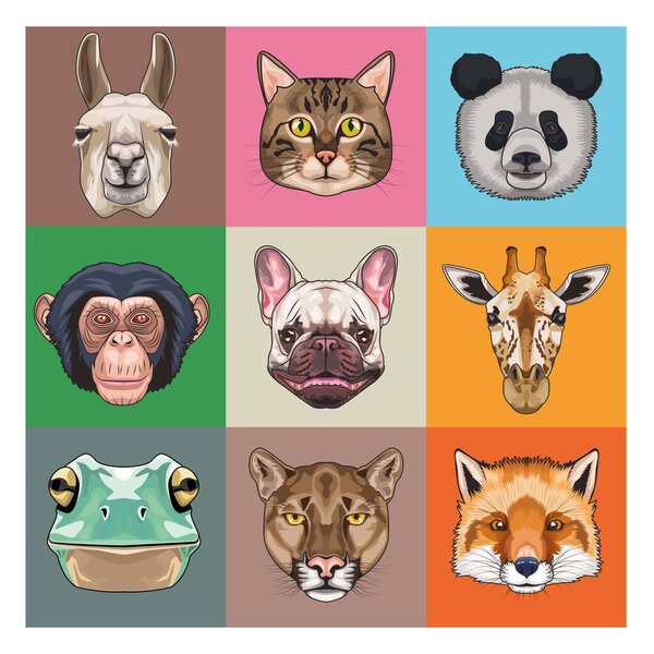 bundle of nine animals domestics and wild icons