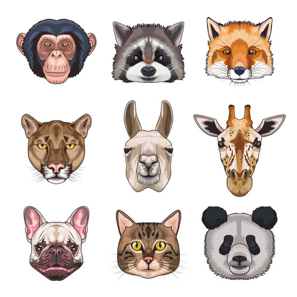 bundle of nine animals domestics and wild set icons