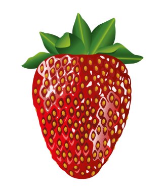 taze ve lezzetli çilek meyvesi