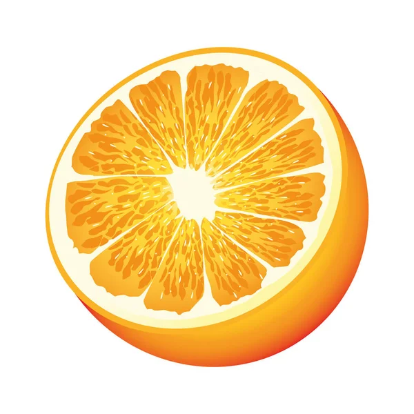 Orange citrus fruit half icon — Stock Vector