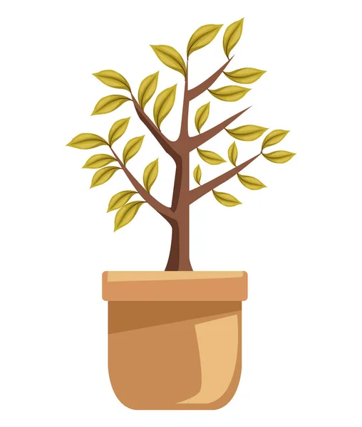 Seramik saksı simgesinde ağaç bitkisi — Stok Vektör