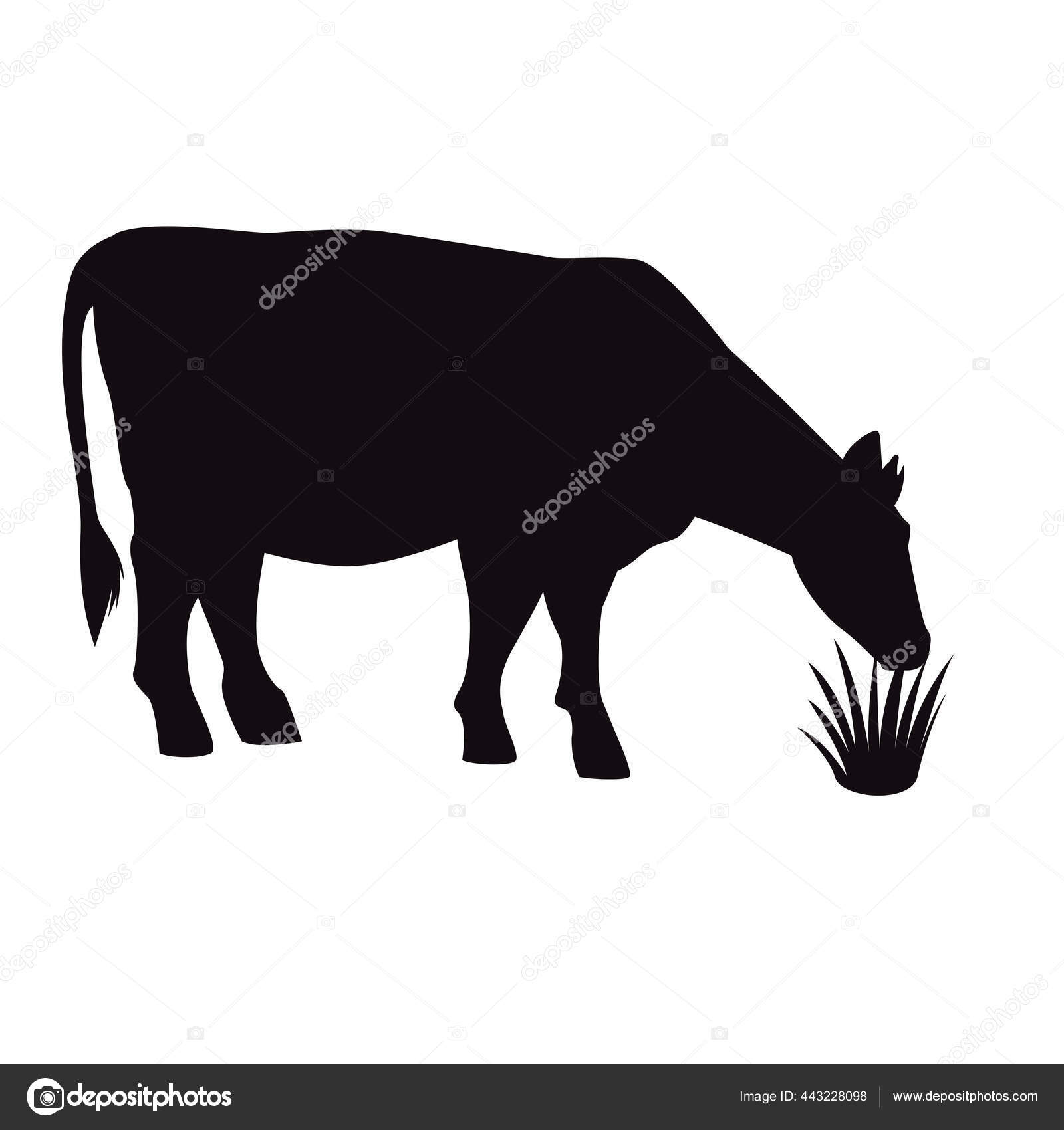 Cow animal eating grass silhouette Stock Vector Image by ©jemastock