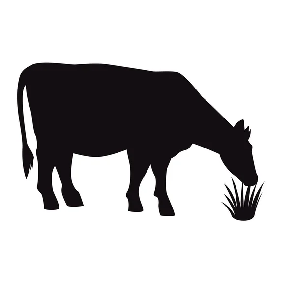 Cow animal eating grass silhouette — Stock Vector