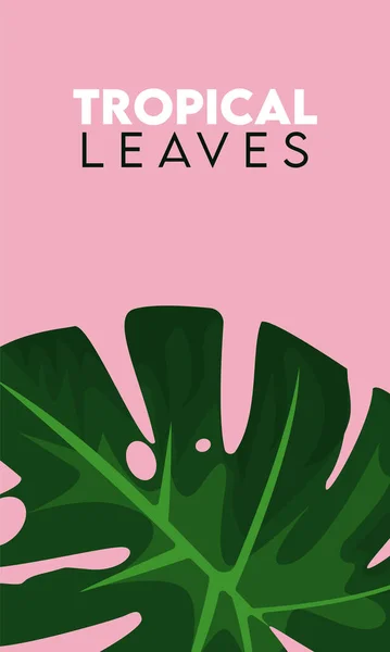 Affiche de lettrage feuilles tropicales avec feuille — Image vectorielle