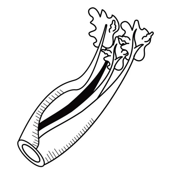 Fresh onion branch vegetable drawn icon — Stock Vector