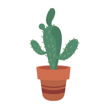 Turuncu seramik kapta kaktüs ev bitkisi