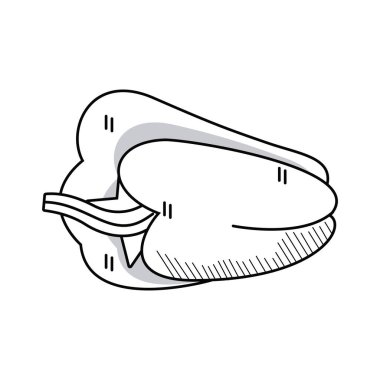 Taze biber sebzesi izole edilmiş ikon