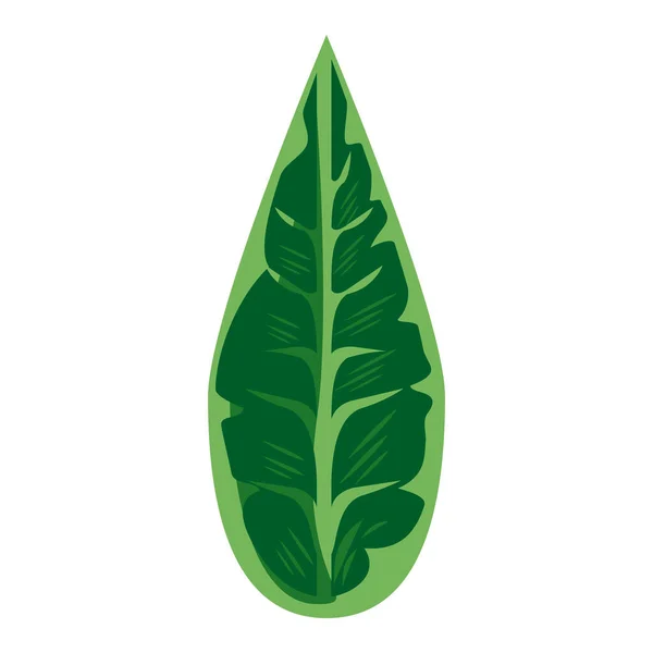 Laisser la végétation verte nature isolé icône — Image vectorielle