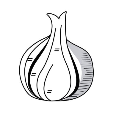 Taze sarımsaklı sebze, izole edilmiş ikon.