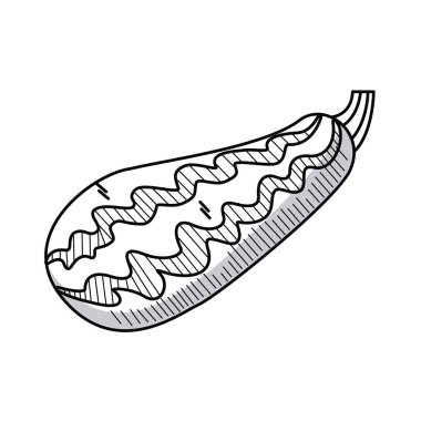 Taze papaya sebzesi izole edilmiş simge