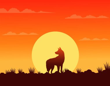 Vahşi batı günbatımı sahnesi köpeklerle