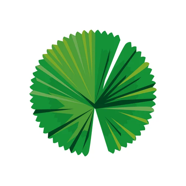 Feuille tropicale circulaire plante vert nature icône — Image vectorielle