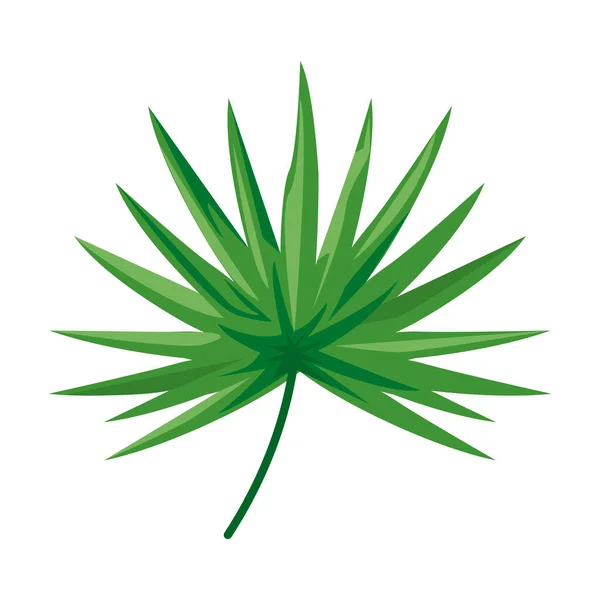 Tropical leave plant green nature icon — Stock Vector