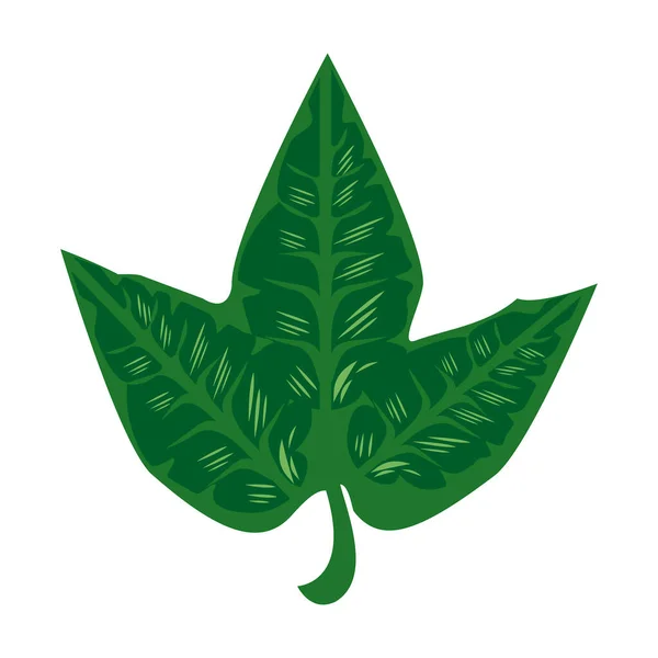 Üç yaprak bitki yeşil doğa simgeleri — Stok Vektör