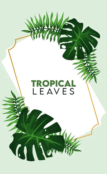 Tropische Blätter Schriftzug Poster mit Blättern Palme in goldenem Rahmen — Stockvektor