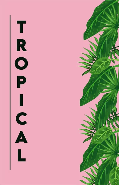 Affiche de lettrage tropical avec des feuilles vertes en fond rose — Image vectorielle