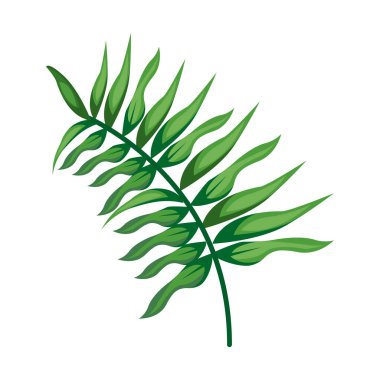 Tropikal terk bitki yeşil doğa