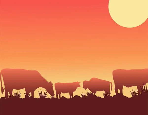 Sauvage ouest coucher de soleil scène avec des vaches dans le camp — Image vectorielle