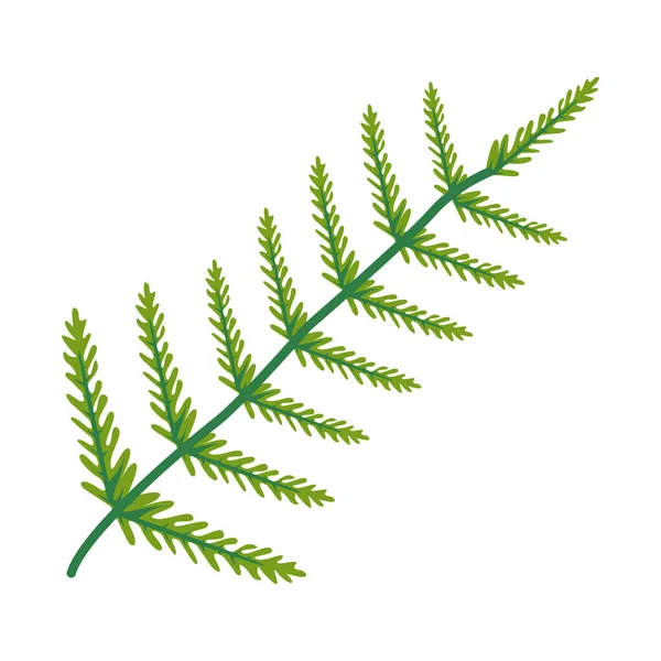 Gren med gran blad växter grön natur isolerade ikoner — Stock vektor