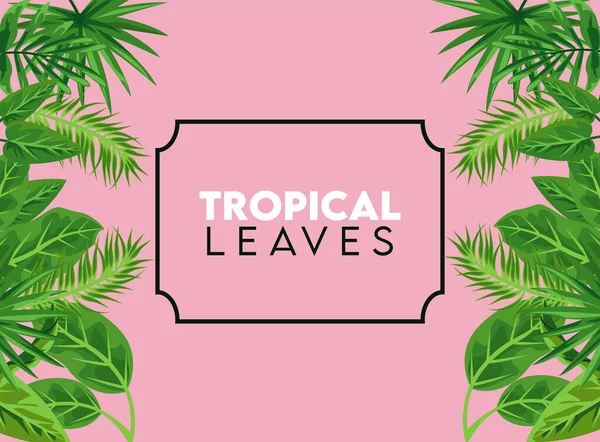 Affiche de lettrage de feuilles tropicales avec des feuilles dans un cadre carré en fond de couleur rose — Image vectorielle