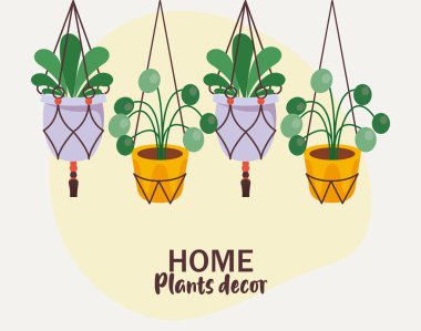 Dört ev bitkisi seramik kaplarda asılı ve harfli.