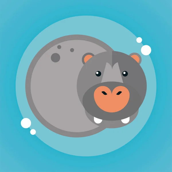 Hipopotama dzikie zwierzę charakter przyrody — Wektor stockowy