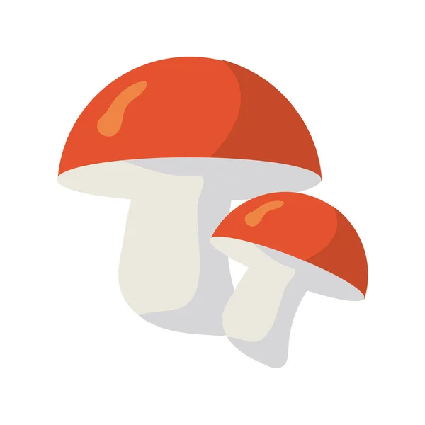 Fungus vegetable healthy food icon — Stock Vector