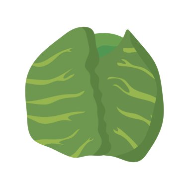 lahana sebze sağlıklı gıda ikonu